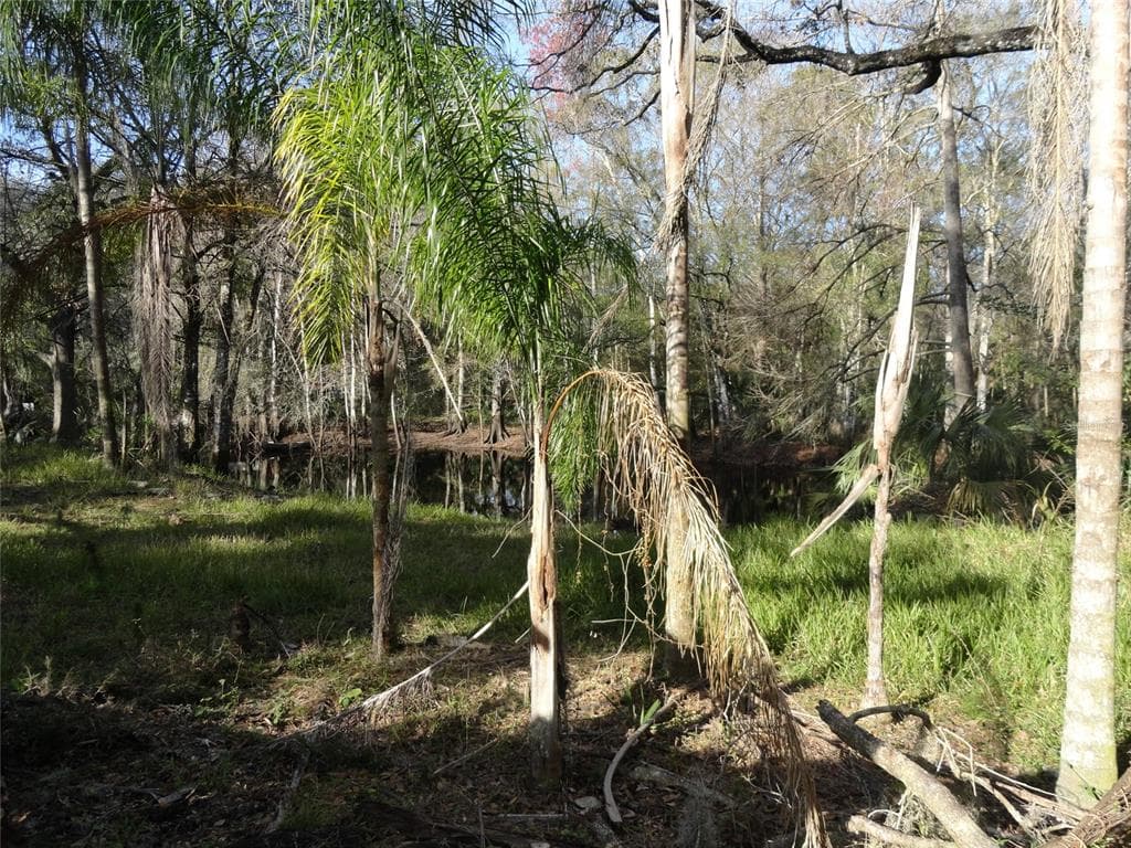 2215 OLD CYPRESS CREEK ROAD LAND O LAKES, FL 34639