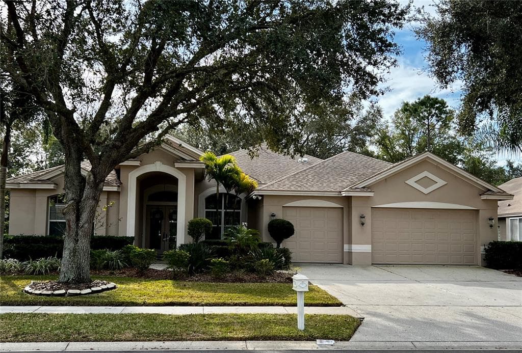 3900 MIMOSA PLACE PALM HARBOR, FL 34685