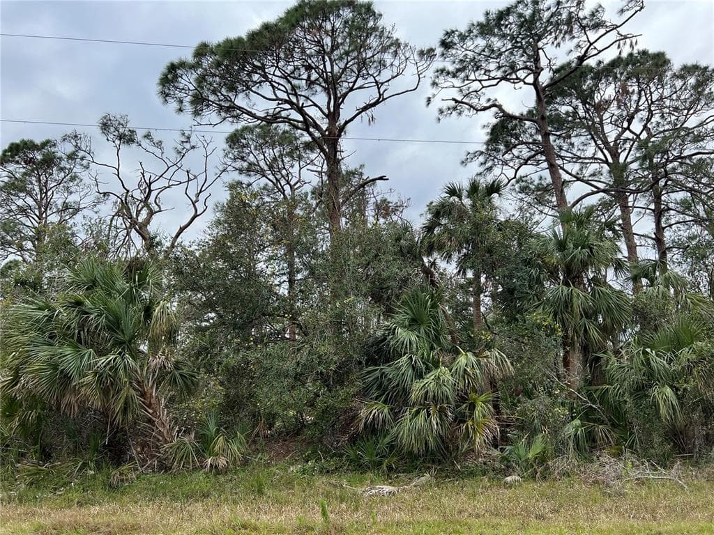 1107 MADEIRA STREET PORT CHARLOTTE, FL 33953