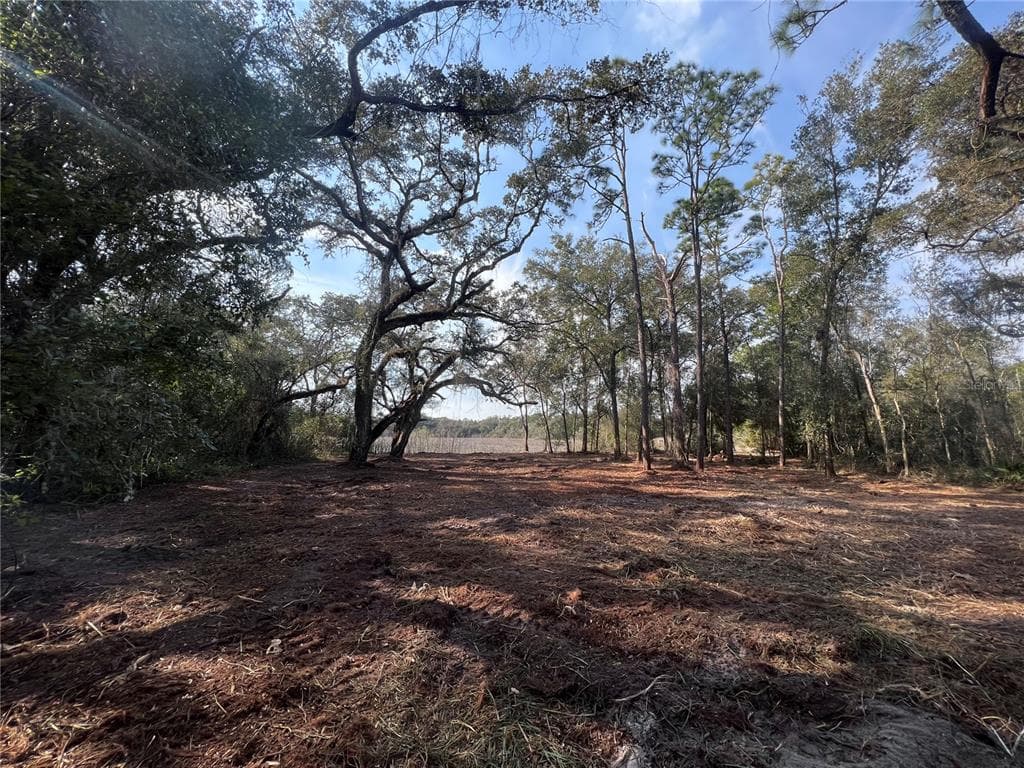 ANTIETAM DRIVE WEBSTER, FL 33597