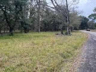 0000 PALAMINO LAKE DR DADE CITY, FL 33523