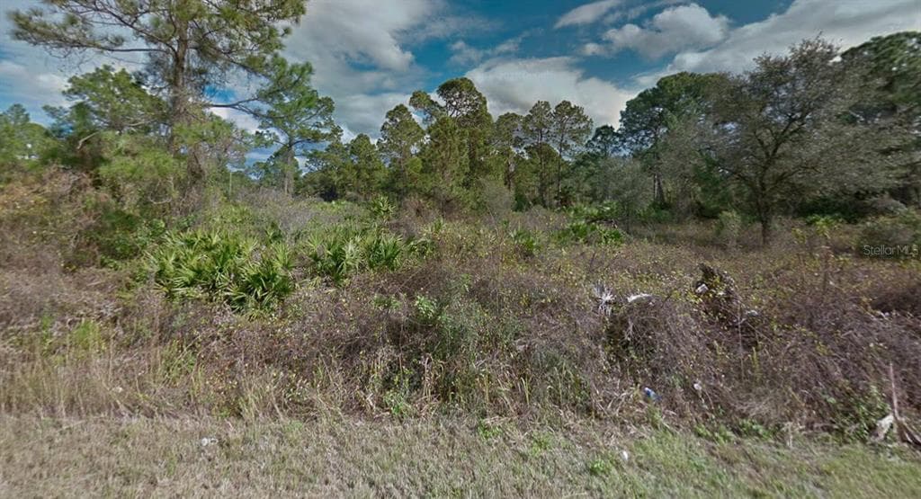 2010 LEROY AVENUE ALVA, FL 33920