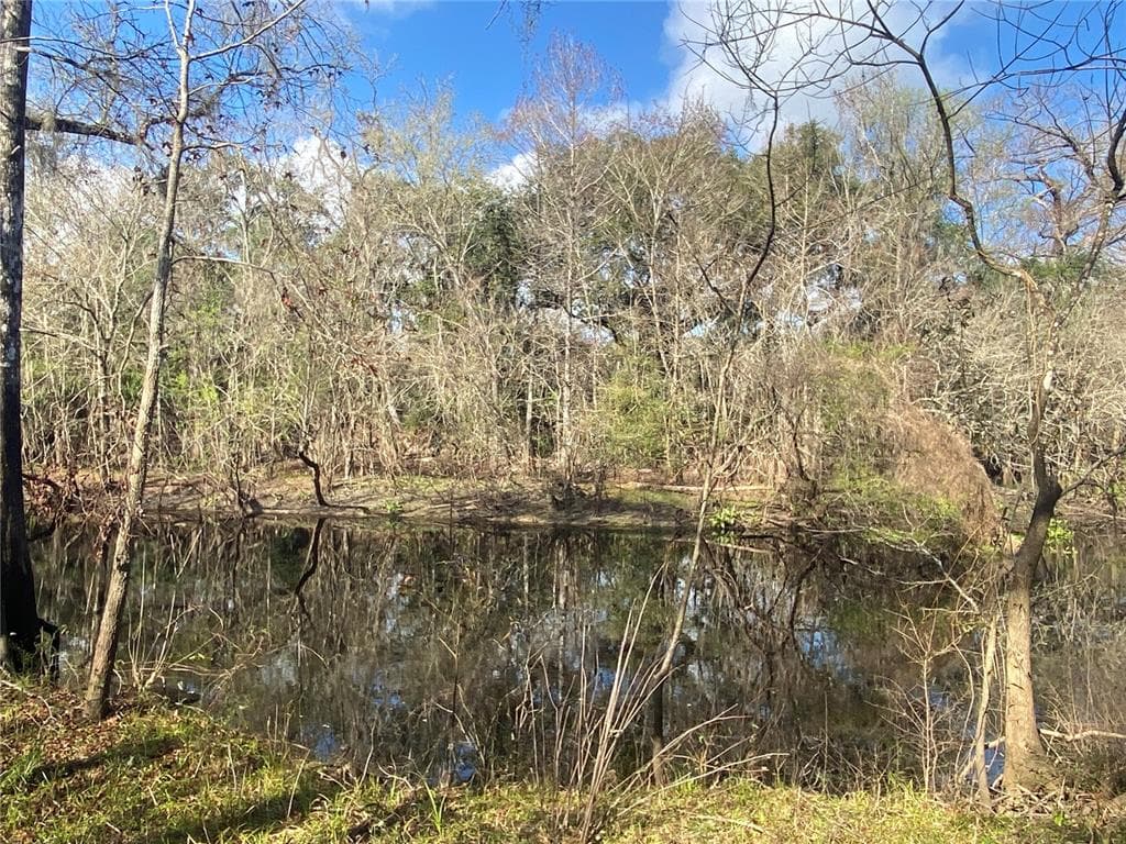 8491 STONE DRIVE WEBSTER, FL 33597