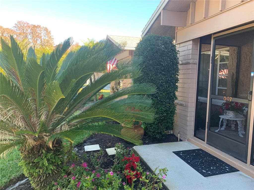 807 LARBOARD LANE PALM HARBOR, FL 34685