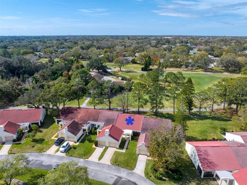 1096 SEVILLE DRIVE PALM HARBOR, FL 34684