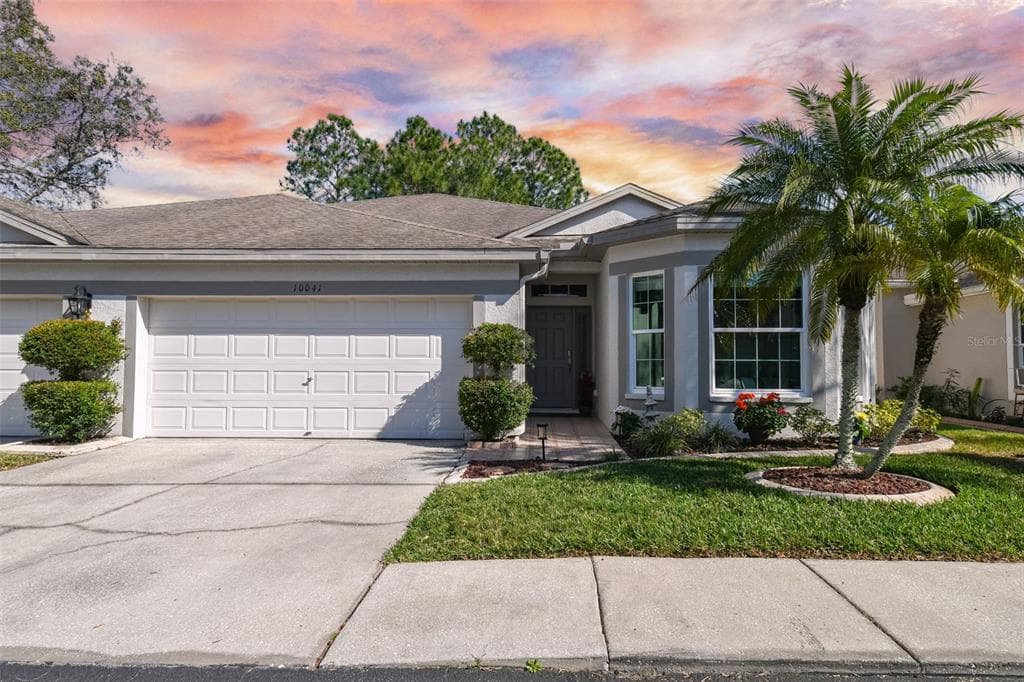 10041 BUCKLIN STREET TAMPA, FL 33625