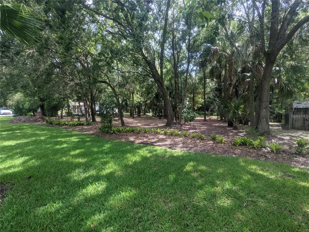 7630 1/2 CYPRESS NEW PORT RICHEY, FL 34653