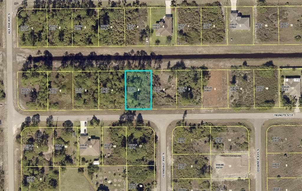 513 TRINITY STREET E LEHIGH ACRES, FL 33974