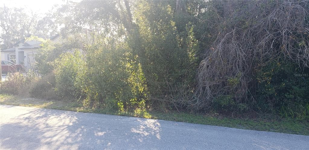 245 LEAFY WAY AVENUE SPRING HILL, FL 34606