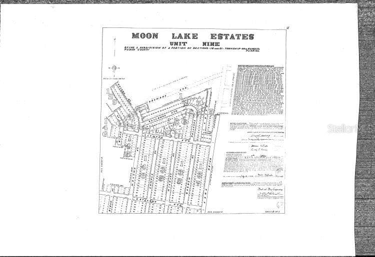 12438 PALLANZA LOOP NEW PORT RICHEY, FL 34654