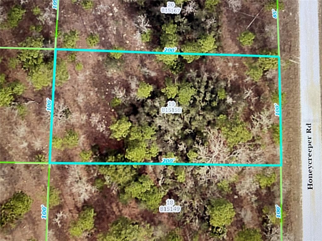 HONEYCREEPER ROAD WEEKI WACHEE, FL 34614