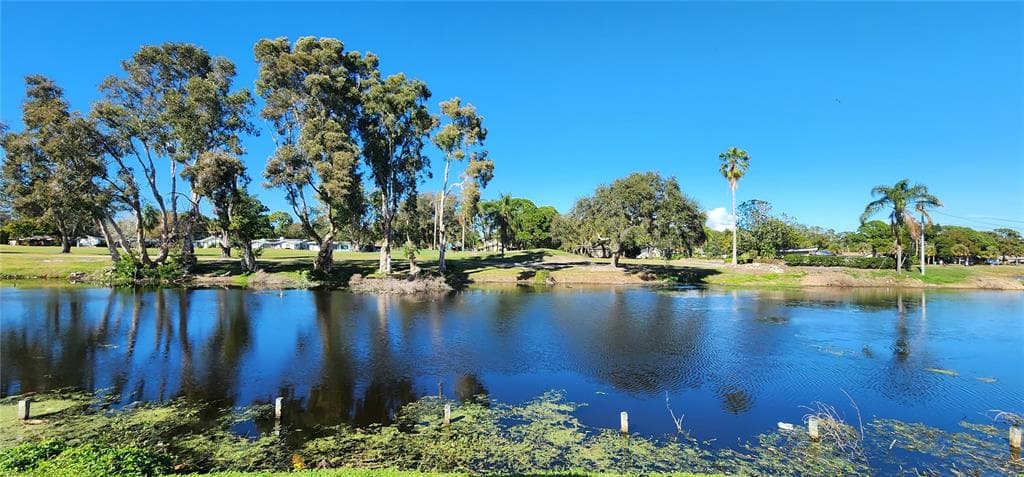1981 LAKEWOOD CLUB DRIVE S UNIT 4-M ST PETERSBURG, FL 33712