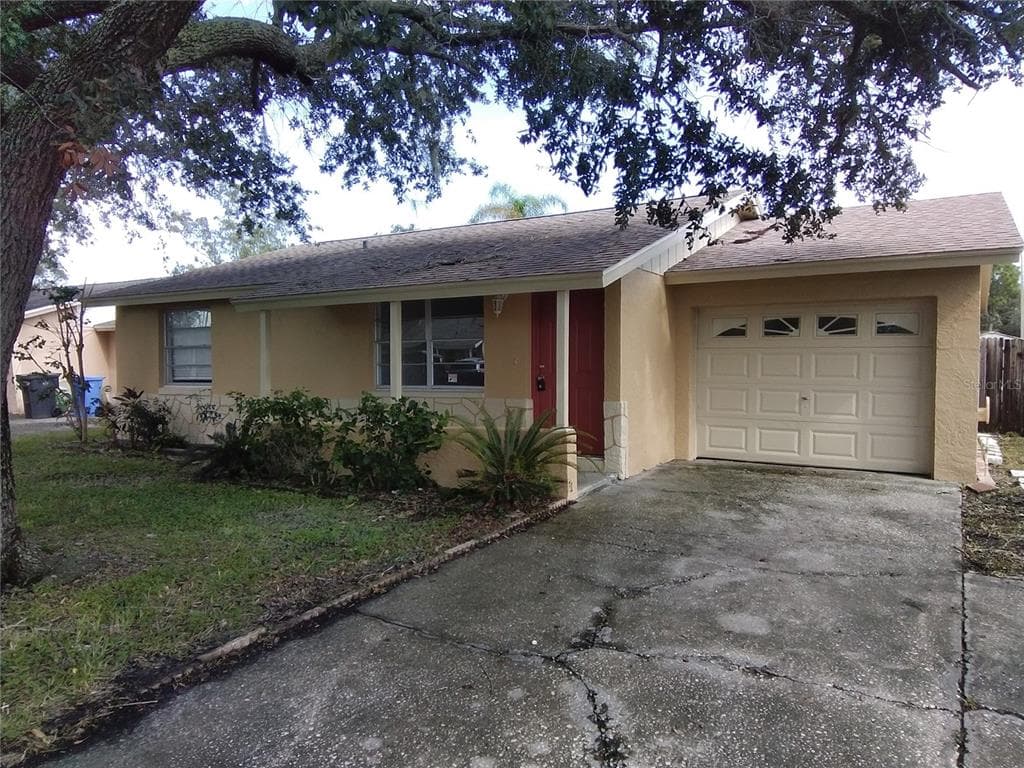 10115 HUNTERS POINT COURT TAMPA, FL 33615