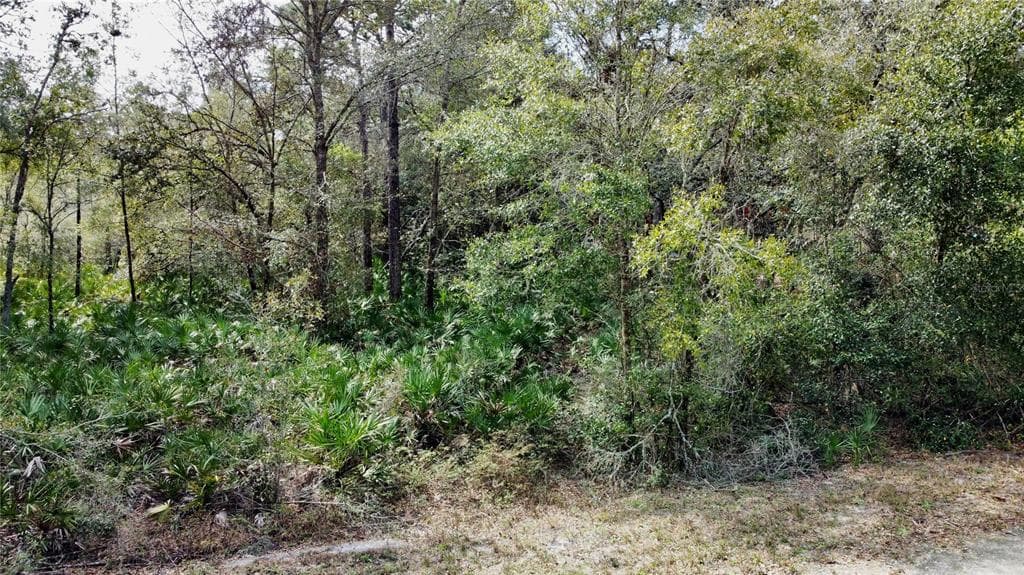 PEANUT DRIVE WEBSTER, FL 33597
