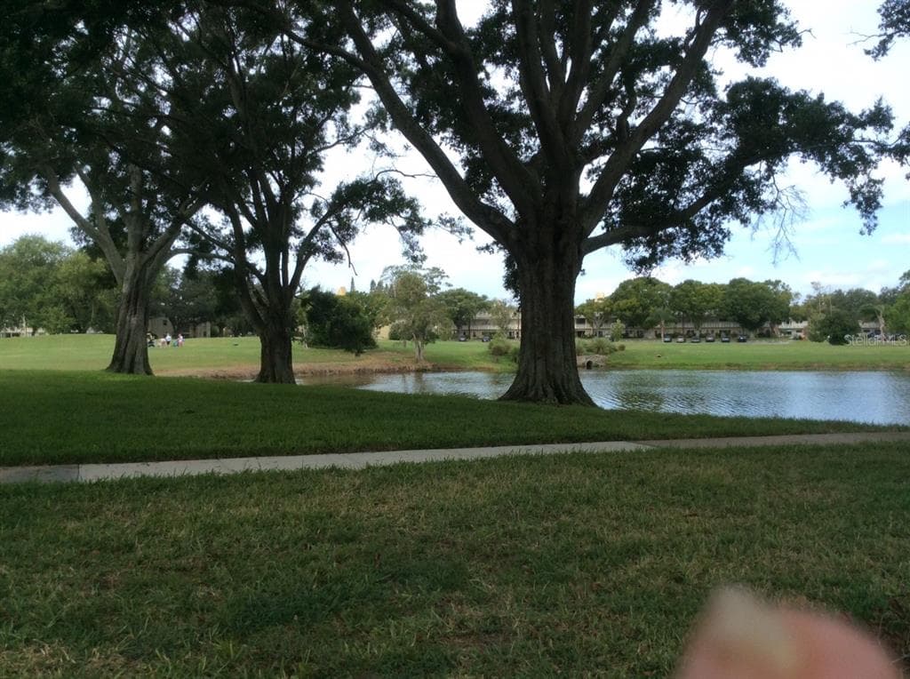 2400 FRANCISCAN DRIVE UNIT 42 CLEARWATER, FL 33763