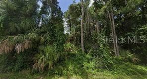 ALLAMANDA AVENUE NORTH PORT, FL 34288