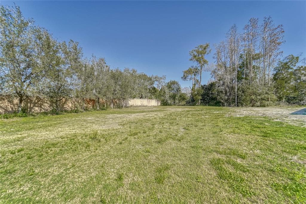 4024 COVE LAKE PLACE LAND O LAKES, FL 34639