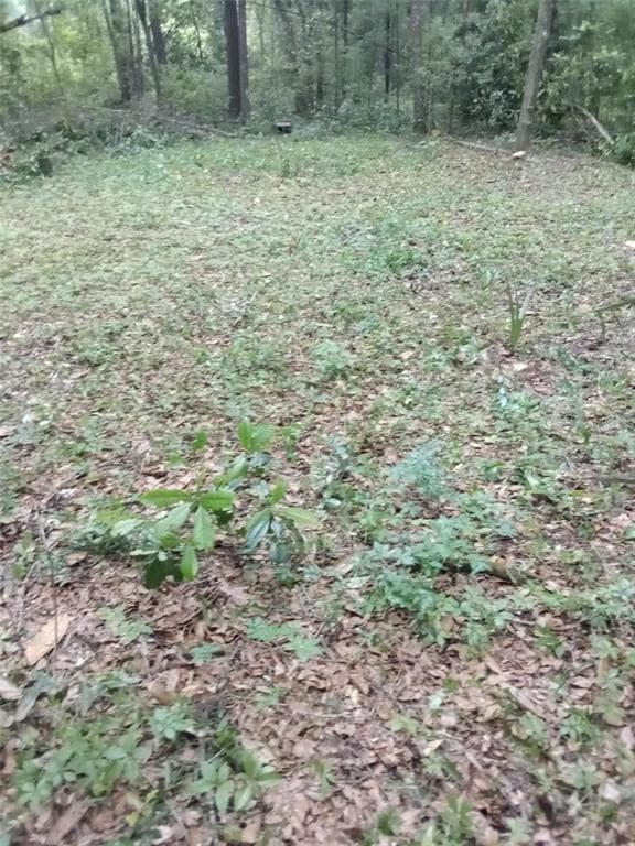 NE ANNA AVE LIVE OAK, FL 32064