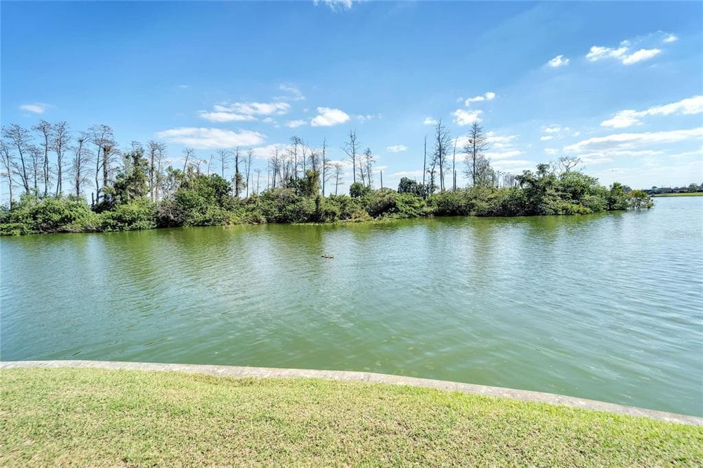 1802 MILFORD CIRCLE SUN CITY CENTER, FL 33573