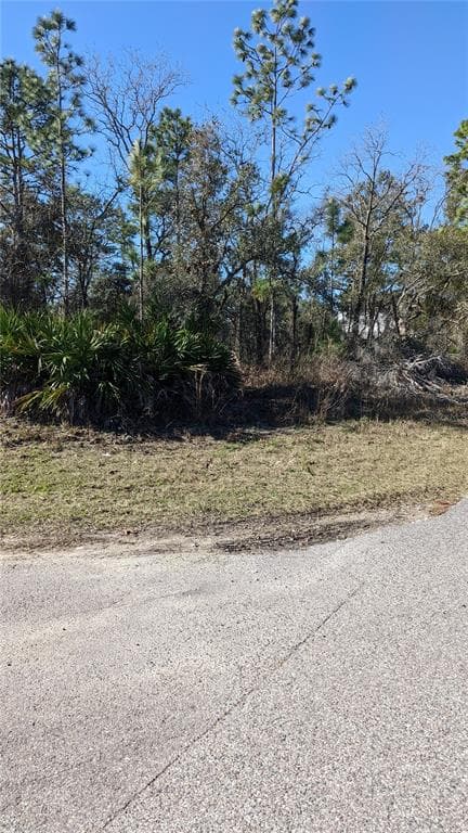 12136 PIONEER AVENUE WEEKI WACHEE, FL 34614