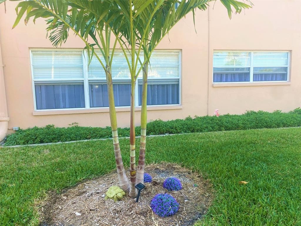 6161 GULF WINDS DRIVE UNIT 142 ST PETE BEACH, FL 33706