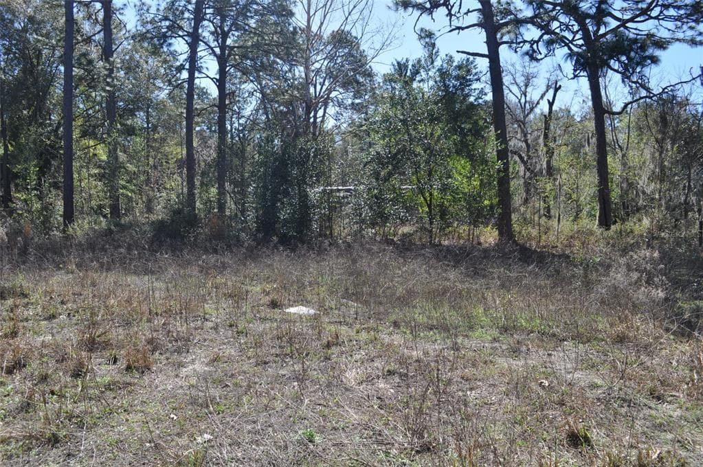 6958 W MINA LANE DUNNELLON, FL 34433