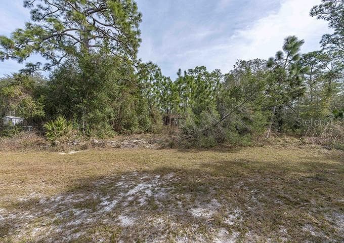 CAROLINA STREET PAISLEY, FL 32767