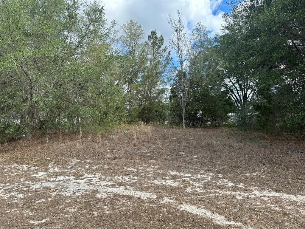 MARION OAKS OCALA, FL 34473