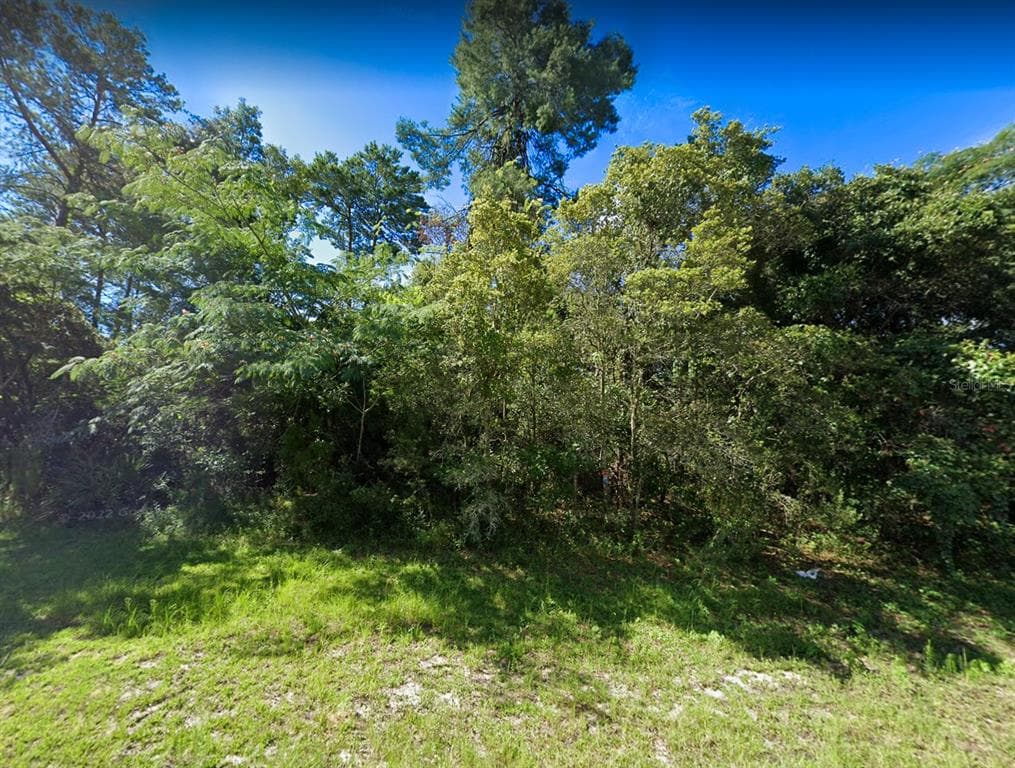 0 SW 172 PLACE ROAD OCALA, FL 34473