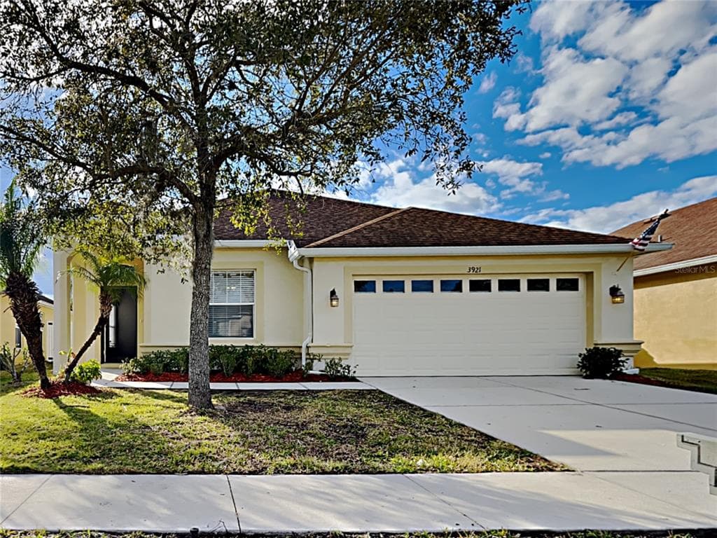 3921 LANGDRUM DRIVE WESLEY CHAPEL, FL 33543