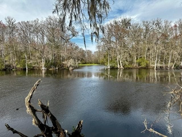 10615 N BIG BASS TRAIL DUNNELLON, FL 34434