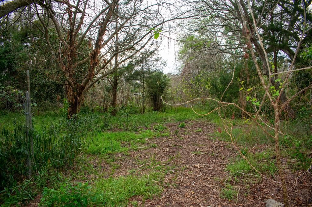 11815 PRUETT ALLEY DADE CITY, FL 33525