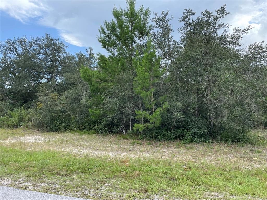 125 HERNANDEZ AVE PALM COAST, FL 32137