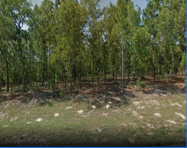 6624 N BEDSTROW BOULEVARD CITRUS SPRINGS, FL 34434