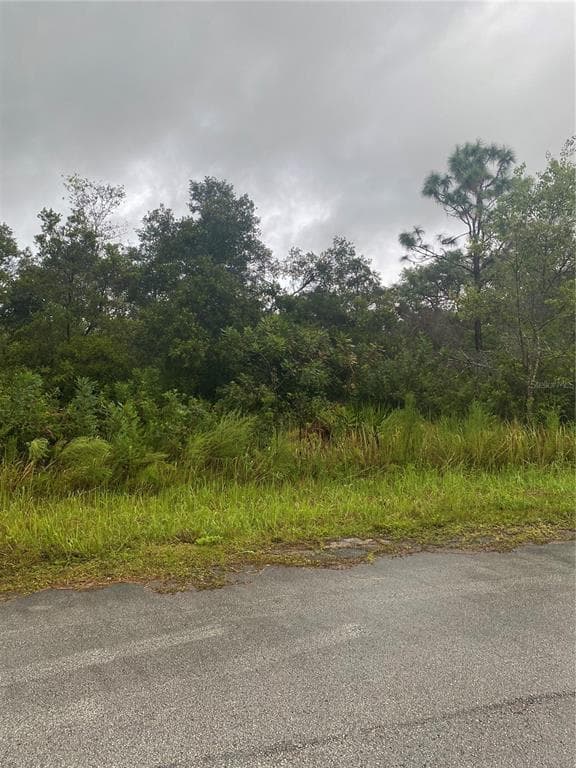 6189 N BUCKLAND DRIVE CITRUS SPRINGS, FL 34434