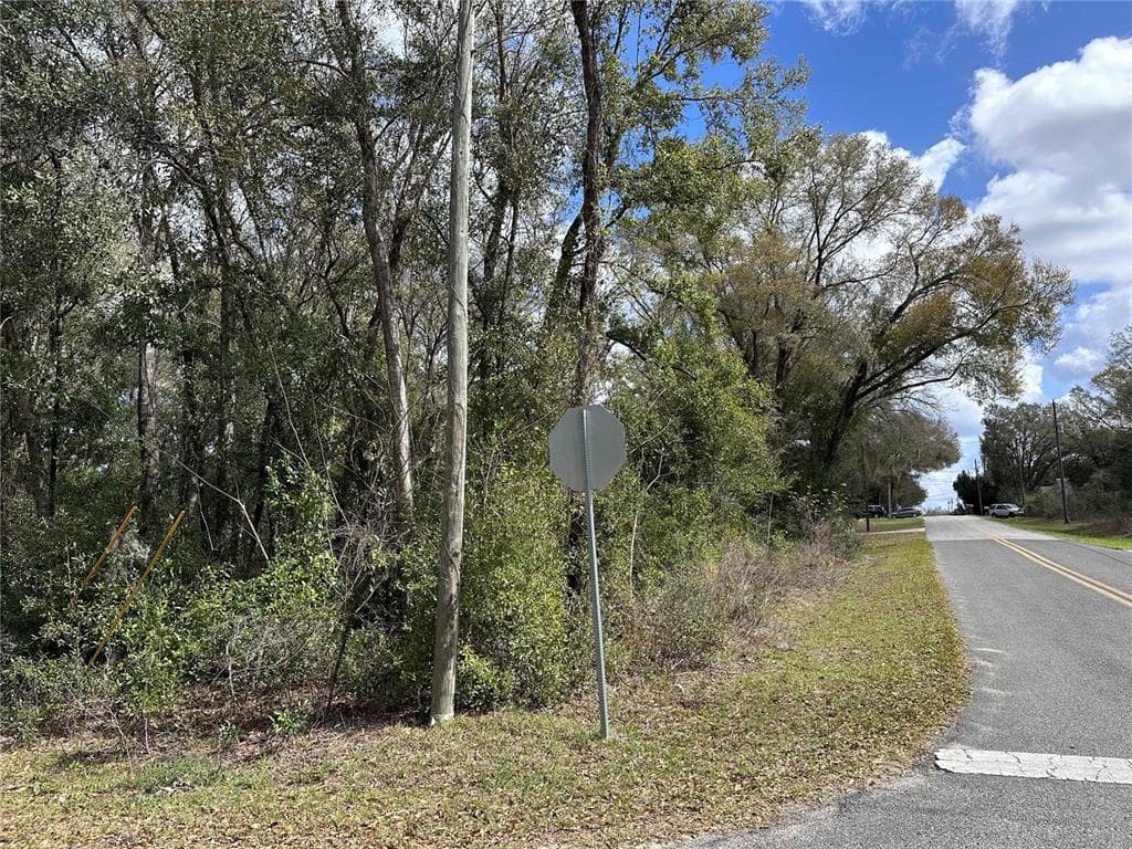 SE 84TH TERRACE SUMMERFIELD, FL 34491