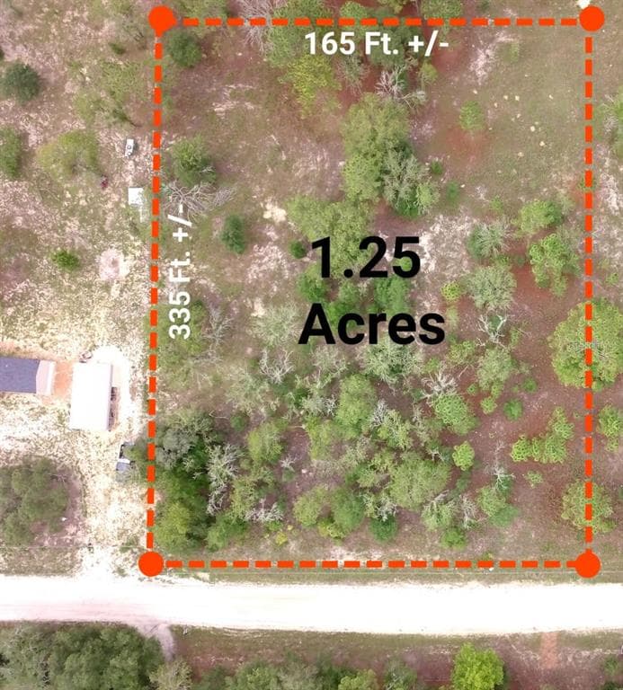 TBD SE 66TH STREET MORRISTON, FL 32668
