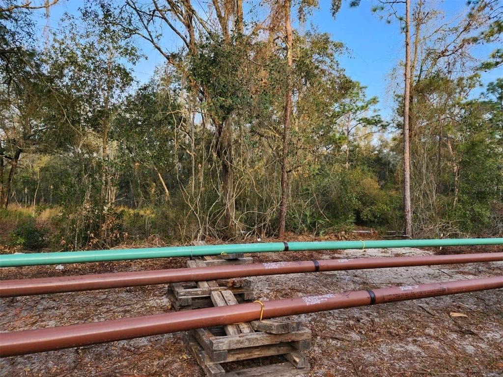 7495 TREIMAN BOULEVARD WEBSTER, FL 33597