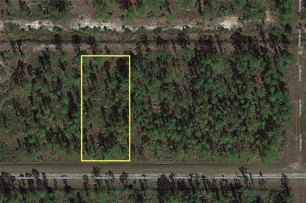 708 CALLIANDRA DRIVE INDIAN LAKE ESTATES, FL 33855