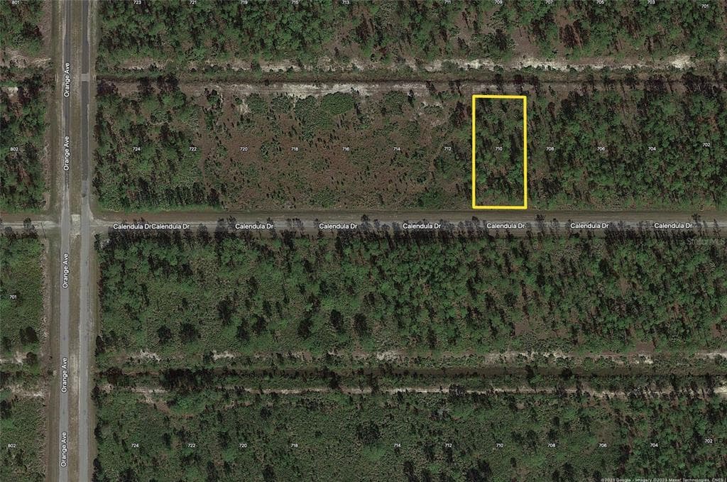710 CALLIANDRA DRIVE INDIAN LAKE ESTATES, FL 33855