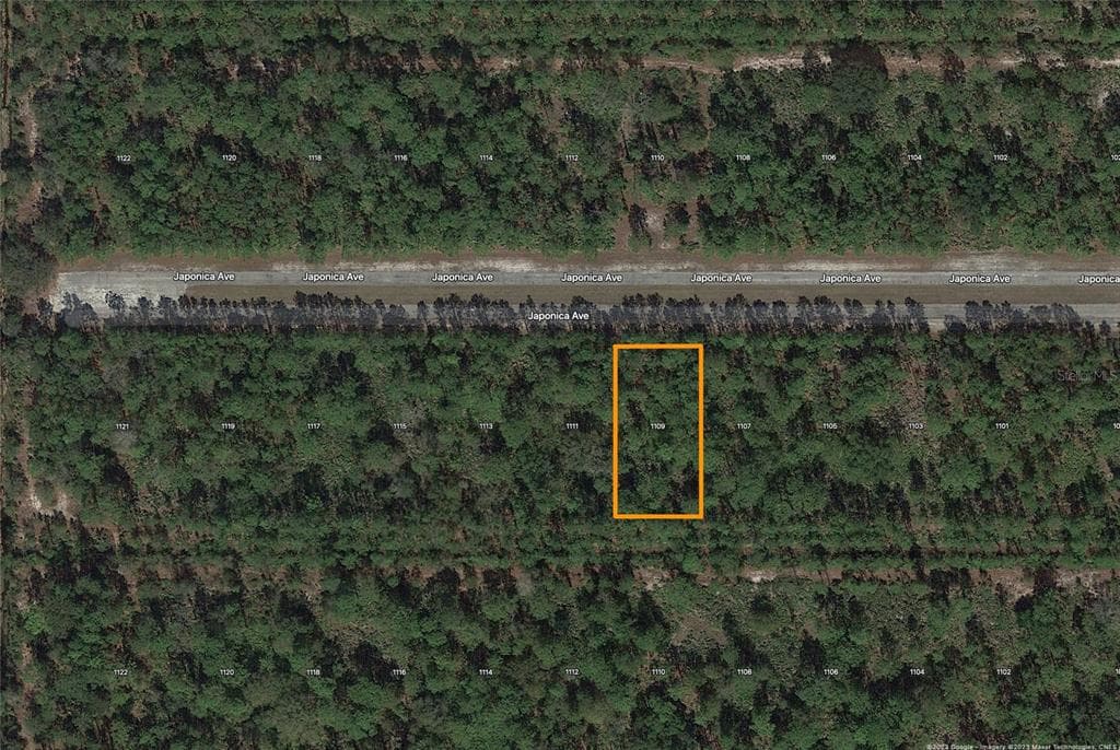 1109 JAPONICA AVENUE INDIAN LAKE ESTATES, FL 33855