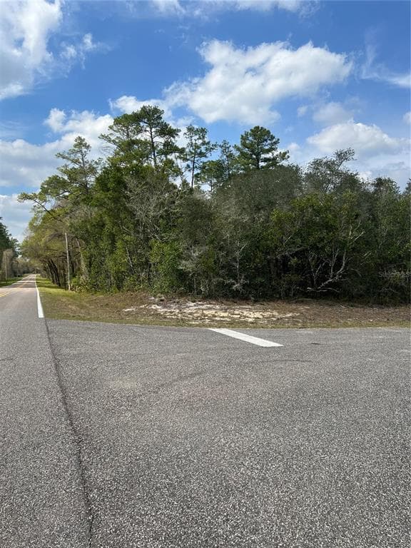 CLYDE STREET WEBSTER, FL 33597