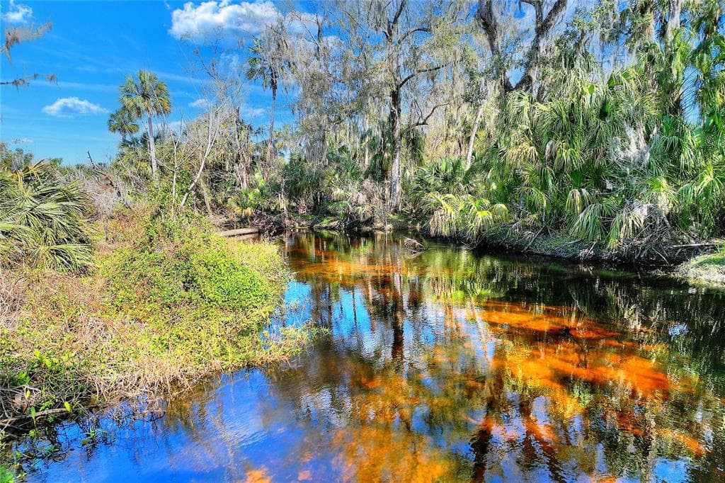 12620 AMBER LANE LITHIA, FL 33547