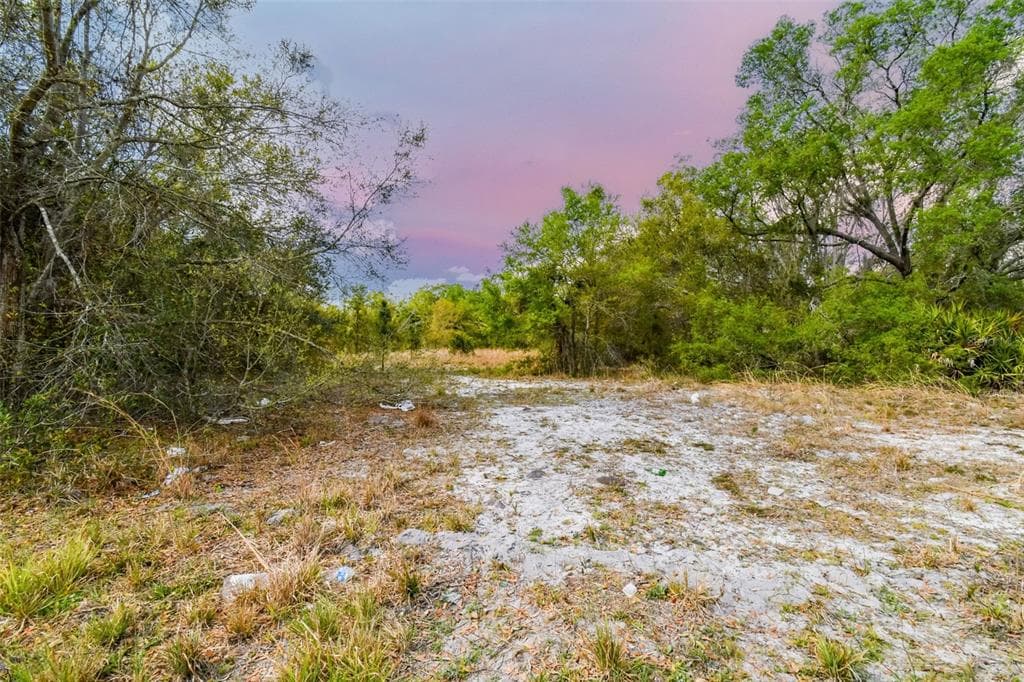 NORTH STREET WIMAUMA, FL 33598