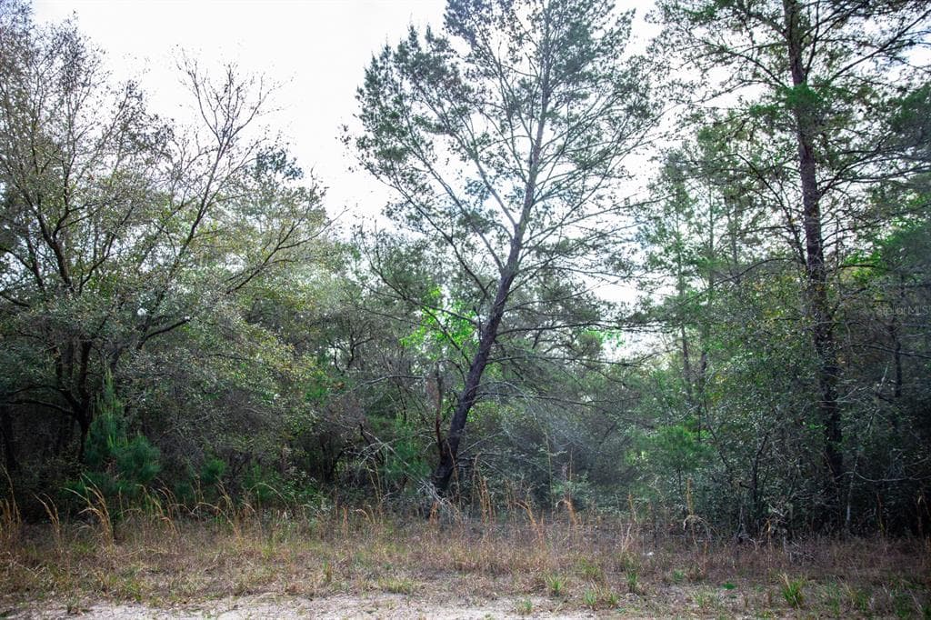 205 S CRESTVIEW AVENUE INVERNESS, FL 34452
