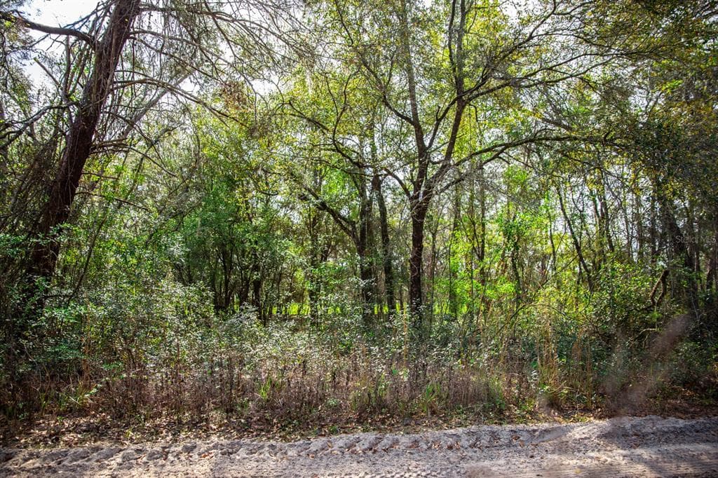 207 S CRESTVIEW AVENUE INVERNESS, FL 34452