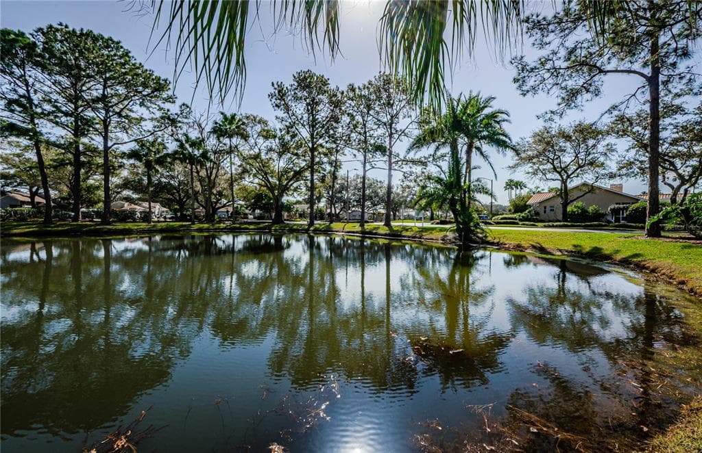 1202 HOUNDS RUN SAFETY HARBOR, FL 34695