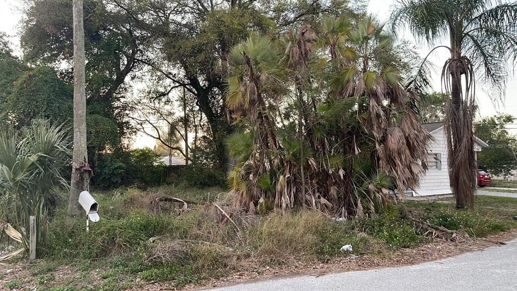 1939 RALLY LANE HOLIDAY, FL 34690