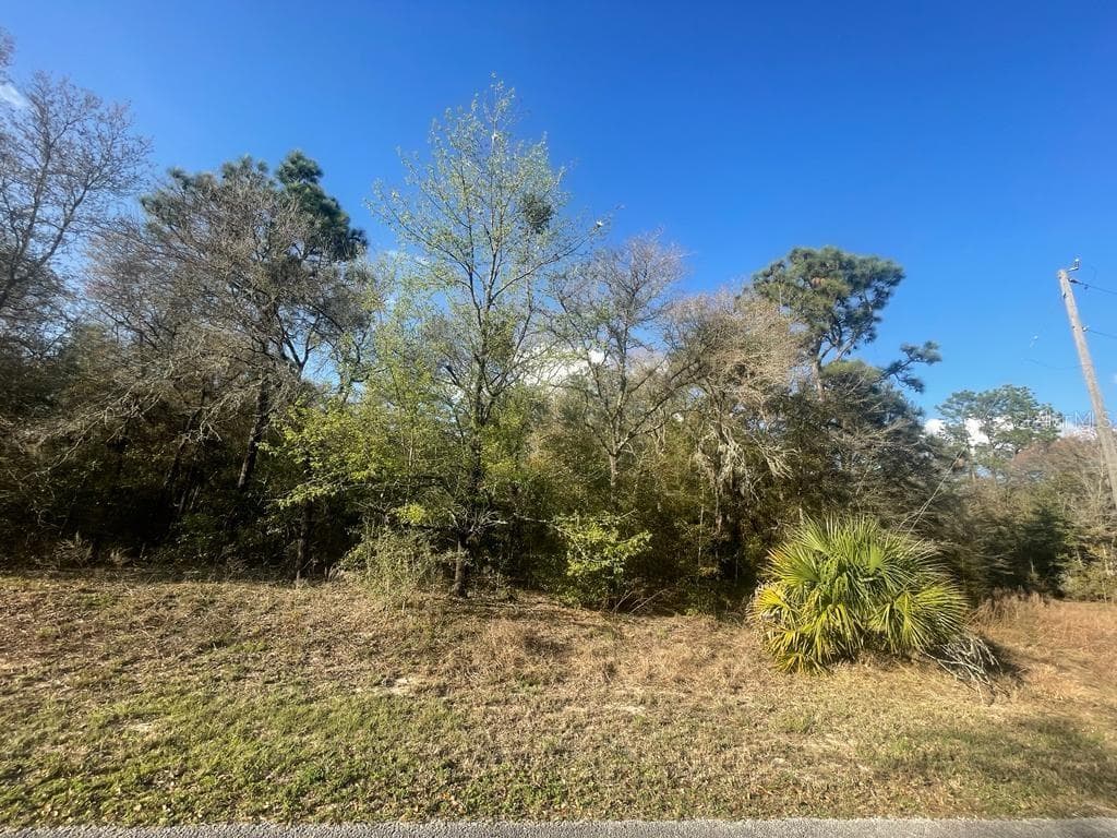 CHILLA COURT UNIT TBD DUNNELLON, FL 34431
