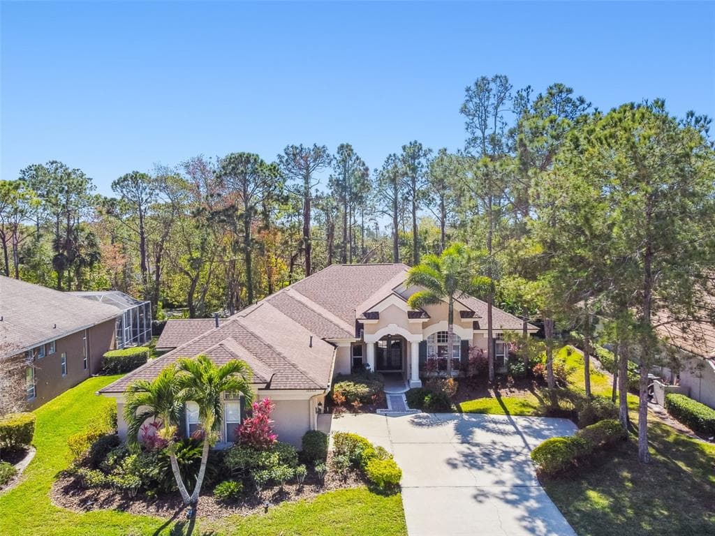 10563 GREENSPRINGS DRIVE TAMPA, FL 33626